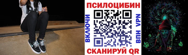 Купить  Далматово  Псилоцибиновые грибы мицелий 